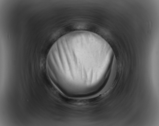 X0000086060175200704132026