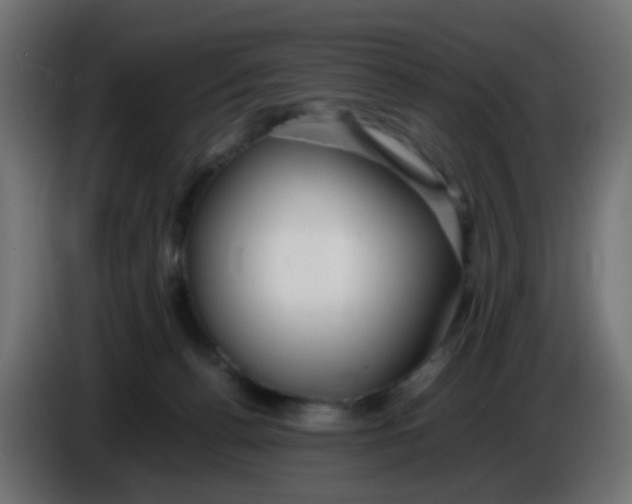 X0000086060176200704132026