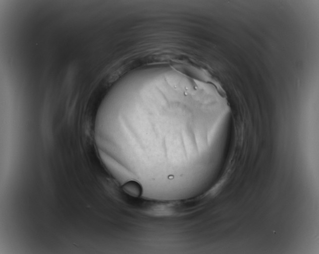 X0000086060178200704132026