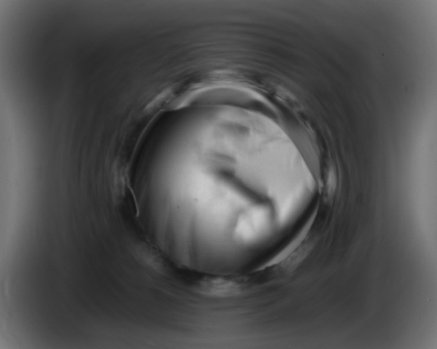 X0000086060180200704132026