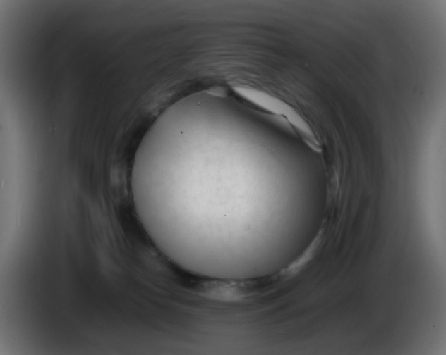 X0000086060182200704132026