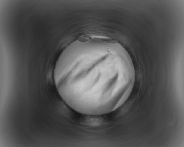 X0000086060185200704132026