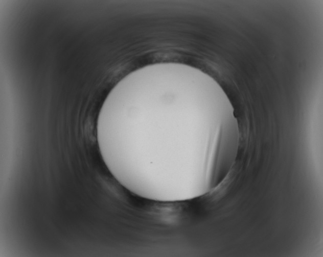 X0000086060187200704132026