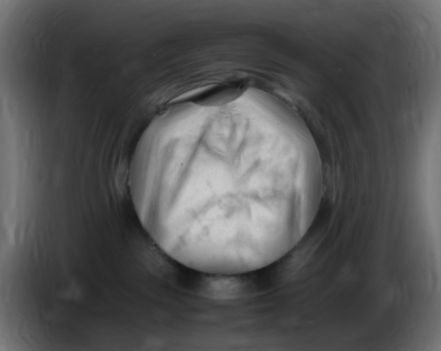 X0000086060189200704132026