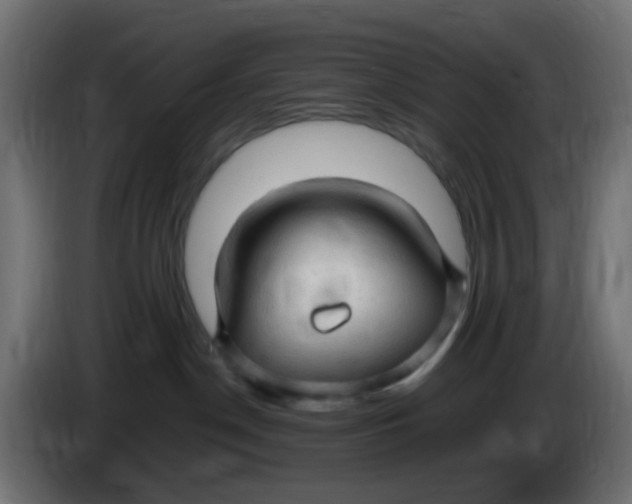 X0000086060190200704132026