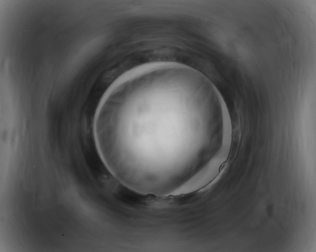 X0000086060191200704132026