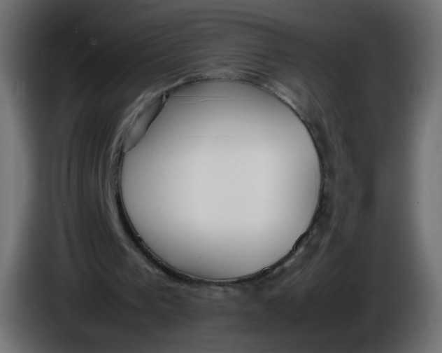 X0000086060193200704132026