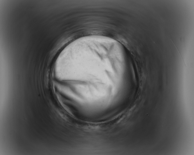 X0000086060194200704132026