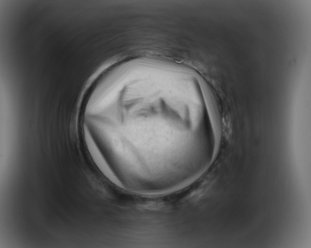 X0000086060196200704132026