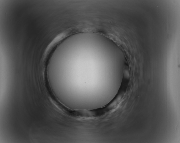 X0000086060197200704132026