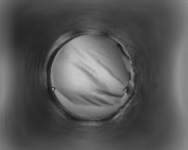 X0000086060198200704132026