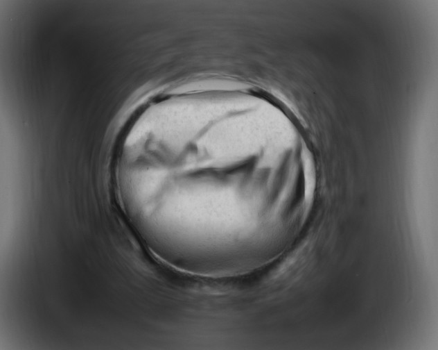 X0000086060199200704132026