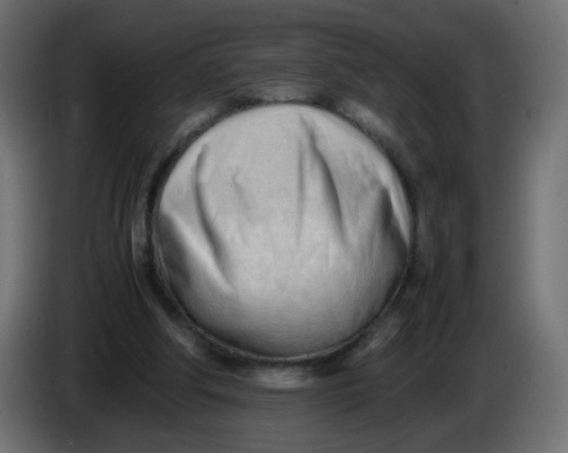 X0000086060202200704132026