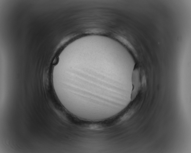 X0000086060204200704132025