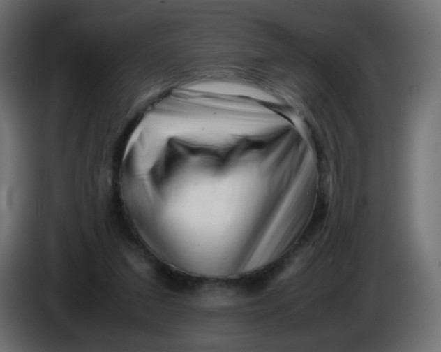 X0000086060207200704132025