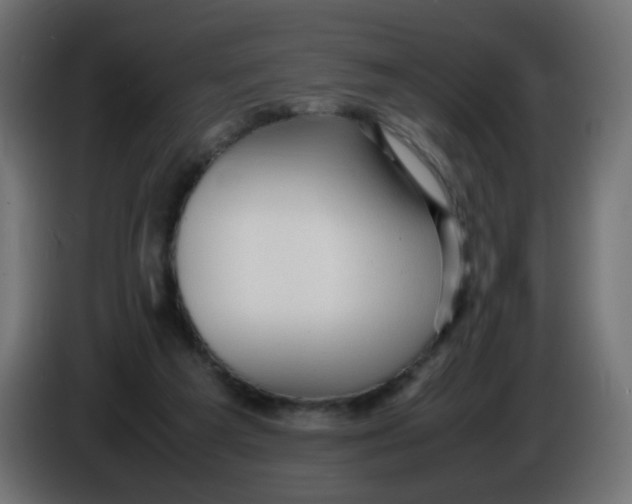 X0000086060209200704132025