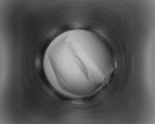 X0000086060214200704132025