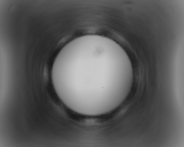 X0000086060216200704132025