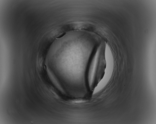 X0000086060219200704132025