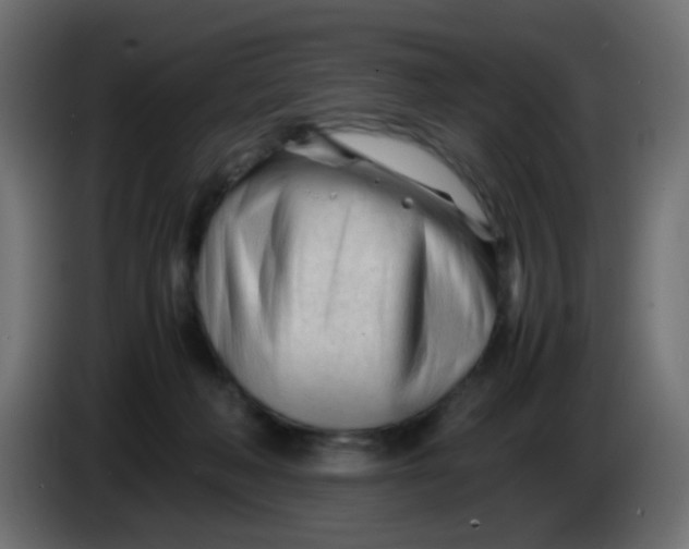 X0000086060222200704132025