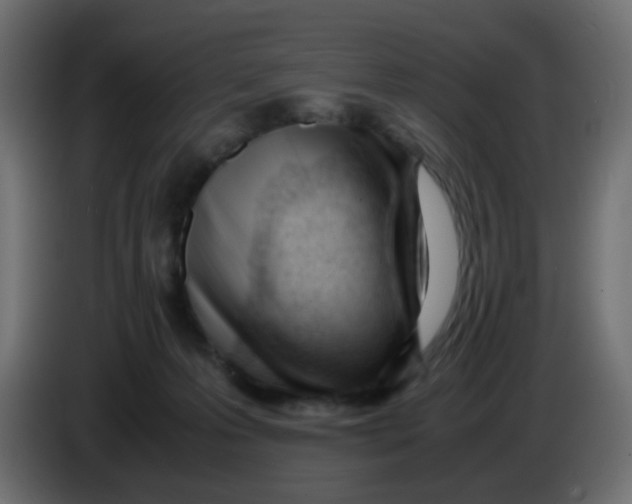 X0000086060223200704132025