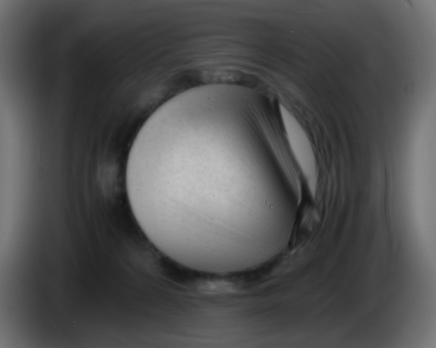 X0000086060224200704132025