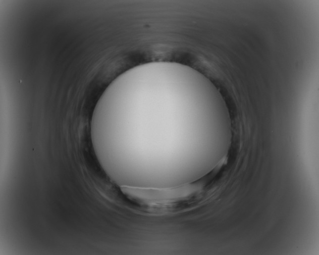 X0000086060225200704132025