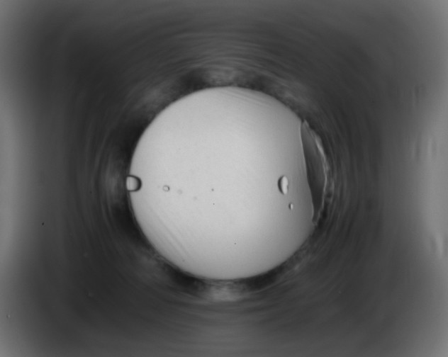 X0000086060226200704132025