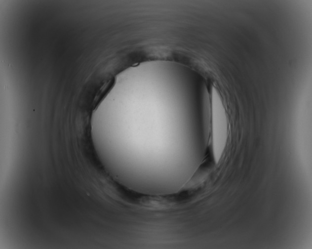 X0000086060229200704132025