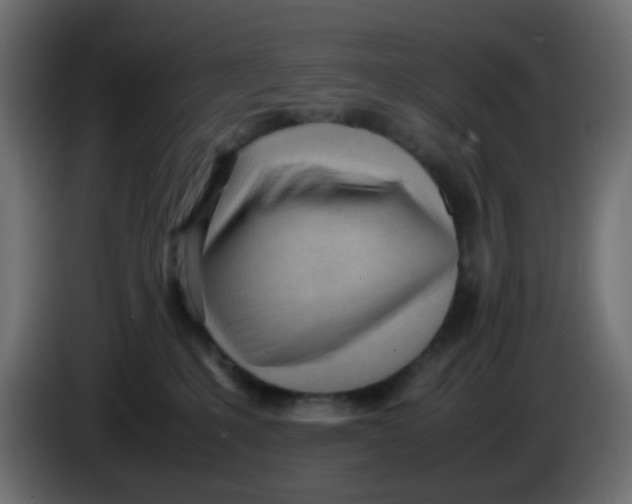 X0000086060231200704132025