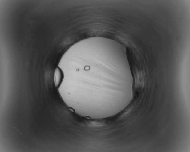 X0000086060232200704132025