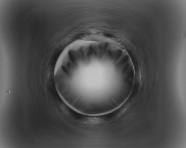 X0000086060233200704132025