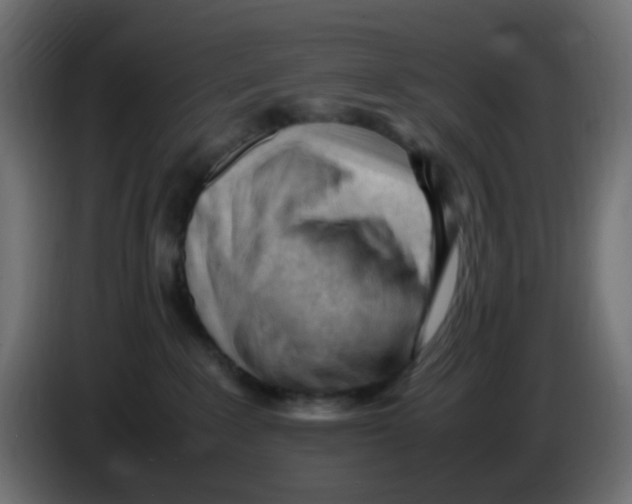 X0000086060235200704132025