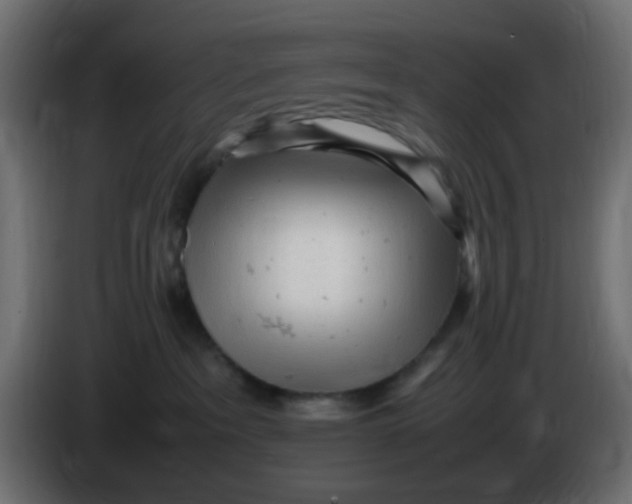 X0000086060237200704132025