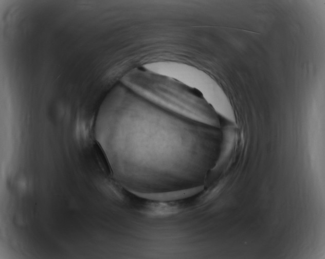 X0000086060239200704132025