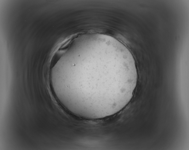 X0000086060241200704132024