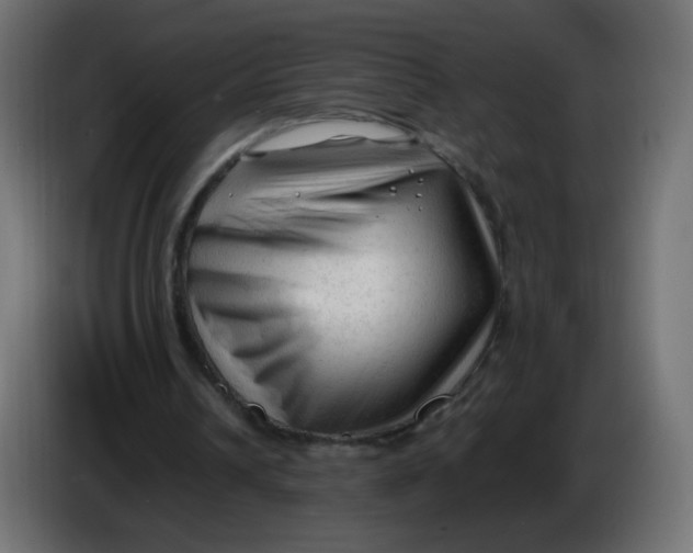 X0000086060242200704132024