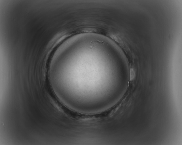 X0000086060243200704132024