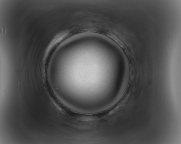 X0000086060245200704132024