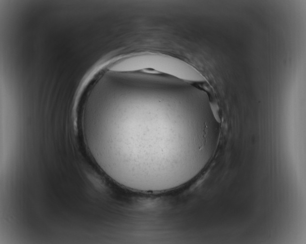 X0000086060246200704132024