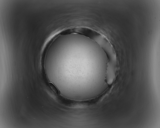 X0000086060248200704132024