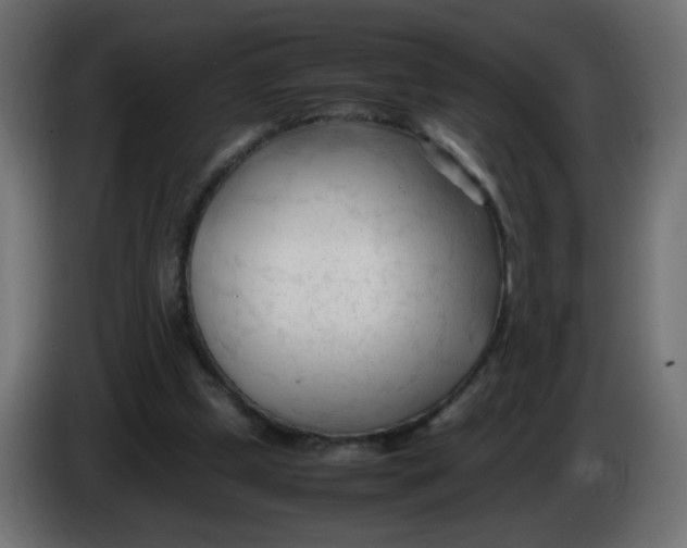 X0000086060249200704132024