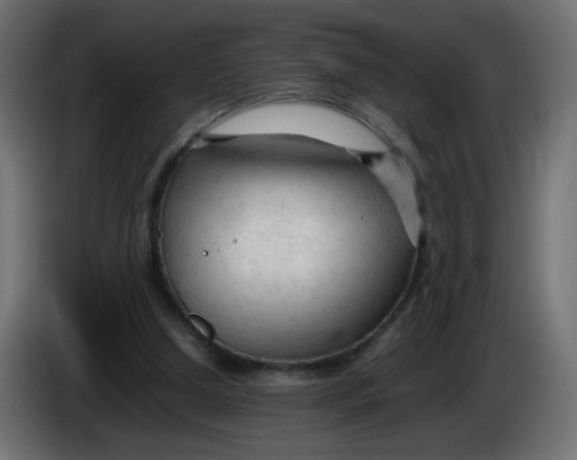 X0000086060250200704132024