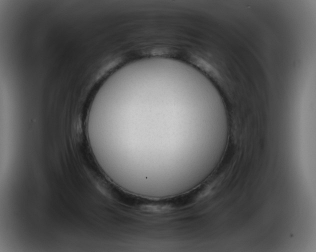 X0000086060251200704132024