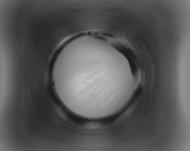 X0000086060252200704132024