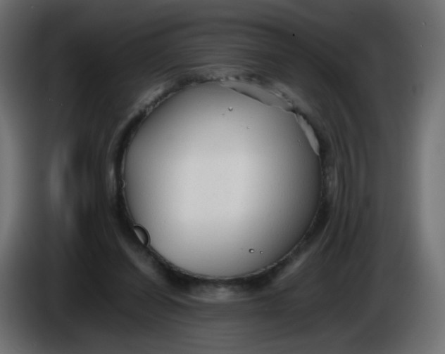 X0000086060254200704132024