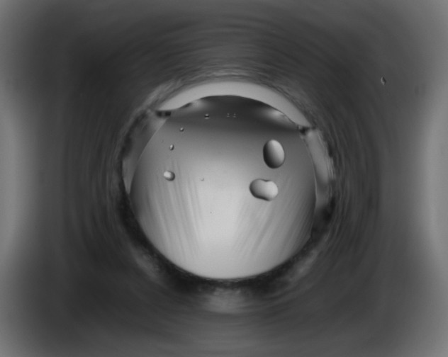 X0000086060256200704132025