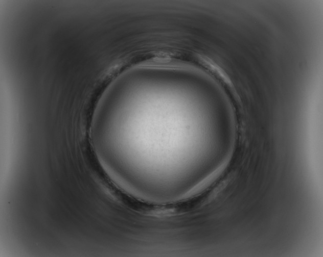 X0000086060257200704132025