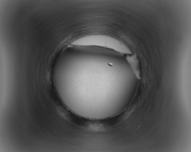 X0000086060258200704132025