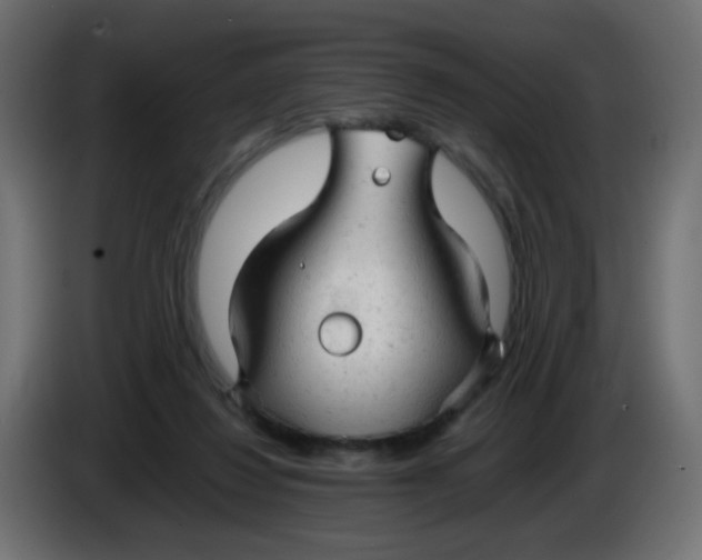 X0000086060260200704132025